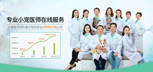 疫情期間寵物嘔吐、拉稀、血便怎么辦？4大科學防護指南助力在家養寵
