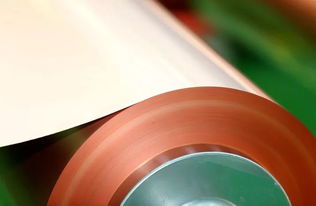 花園新能源公司喜獲突破 6微米鋰電銅箔產(chǎn)品試產(chǎn)成功，技術(shù)服務(wù)再升級(jí)